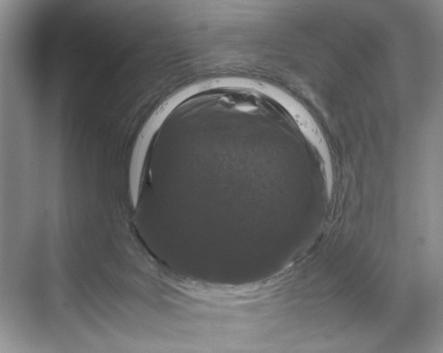 X0000070190027200606091544