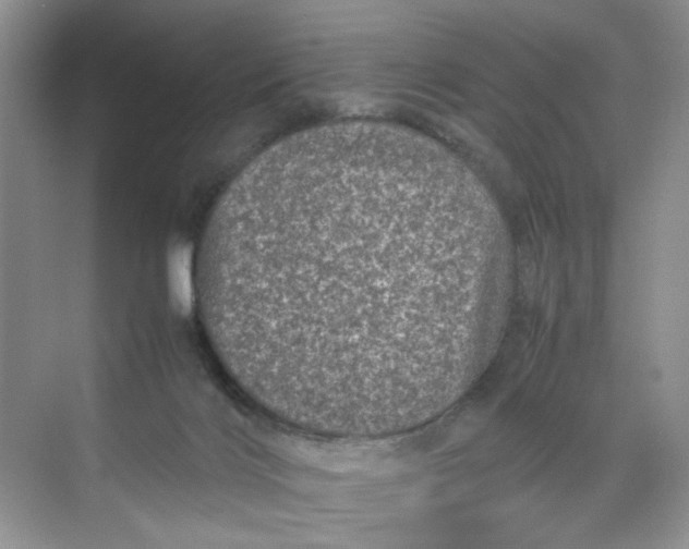 X0000070190028200606091544