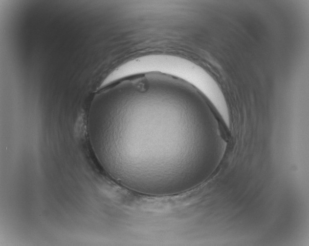 X0000070190029200606091544