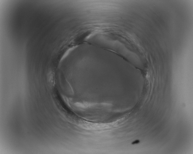 X0000070190031200606091544