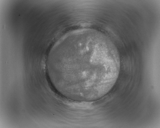 X0000070190032200606091544