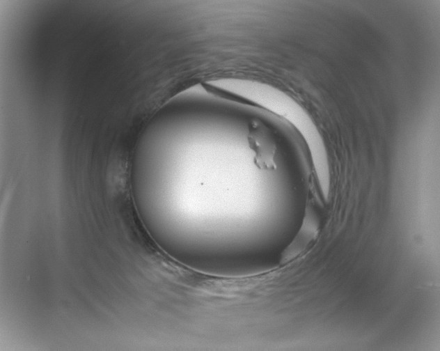 X0000070190033200606091544