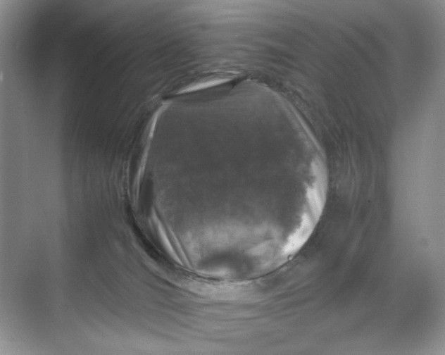 X0000070190036200606091544