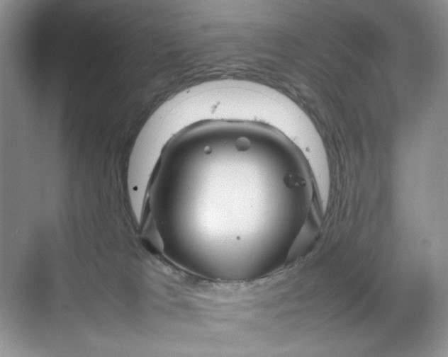 X0000070190037200606091544