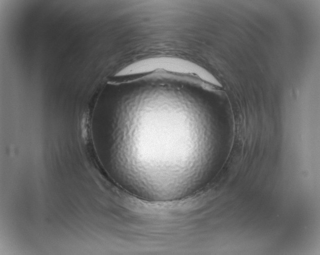 X0000070190038200606091544