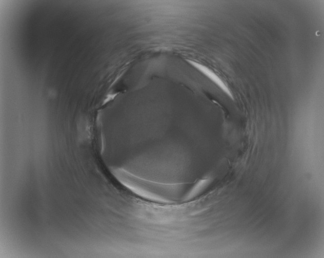 X0000070190039200606091544