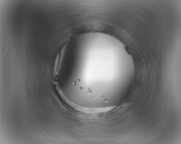 X0000070190040200606091544