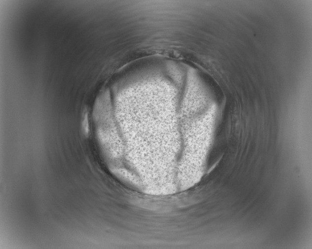 X0000070190042200606091544