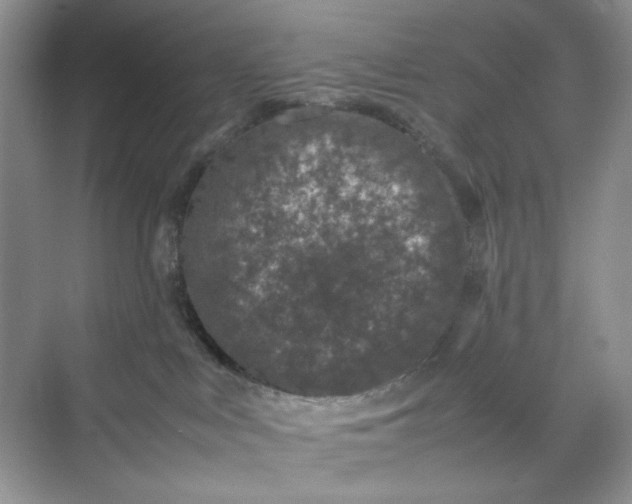 X0000070190043200606091544