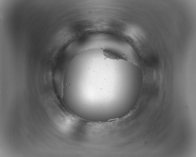 X0000070190045200606091544