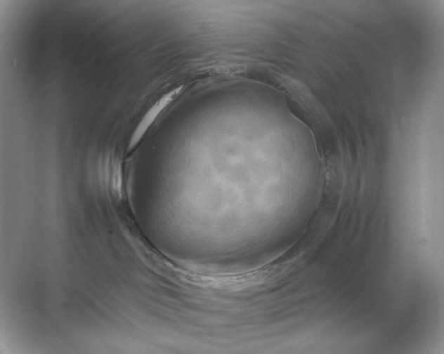 X0000070190046200606091544