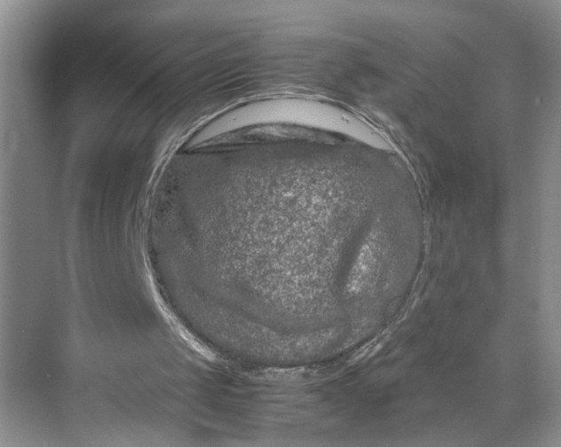 X0000070190049200606091543