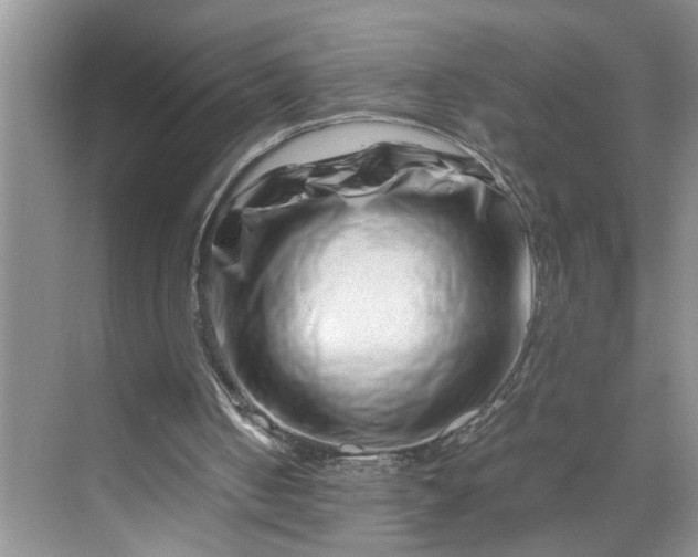 X0000070190050200606091543