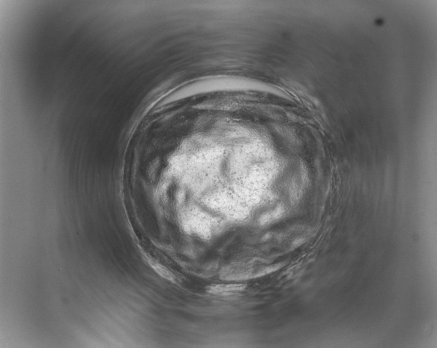 X0000070190051200606091543