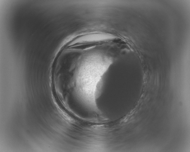 X0000070190054200606091543