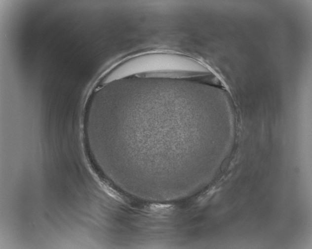 X0000070190055200606091543