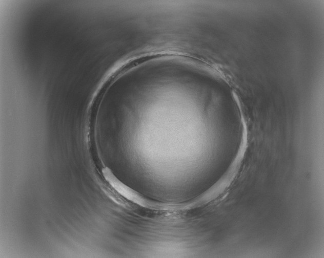 X0000070190056200606091543