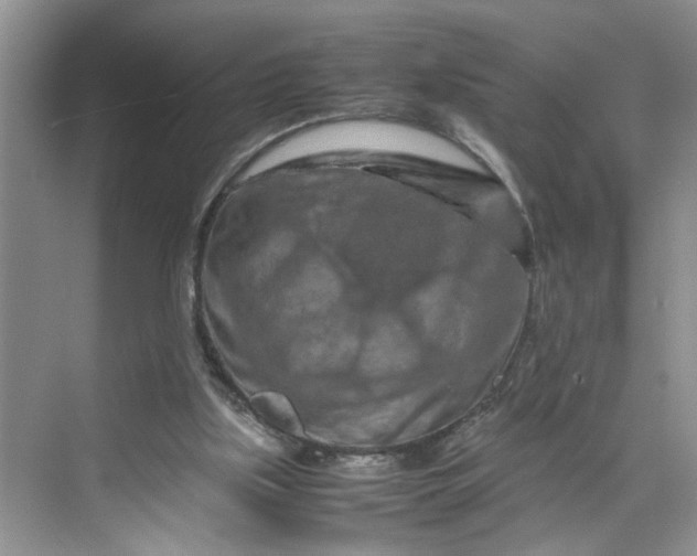 X0000070190059200606091543