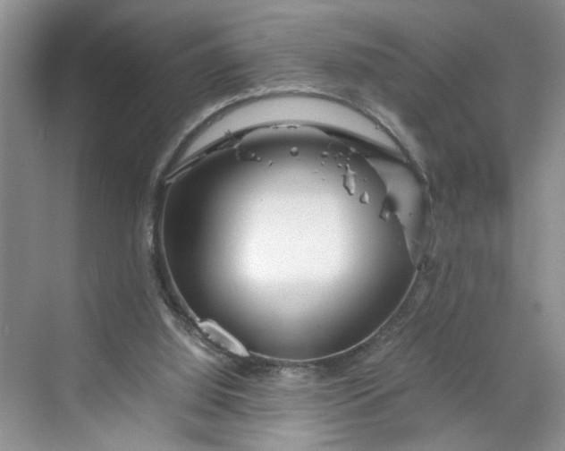 X0000070190060200606091543