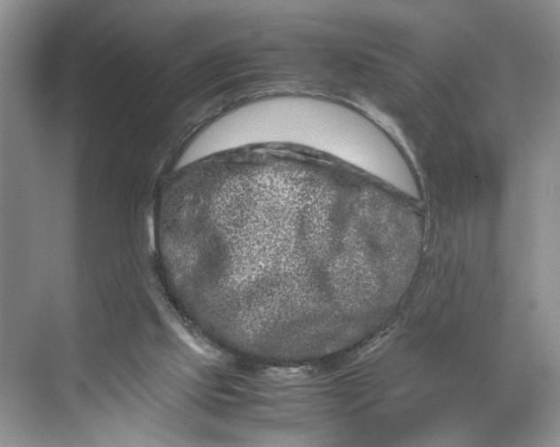 X0000070190061200606091543