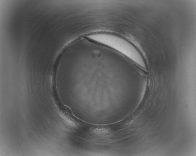 X0000070190063200606091543