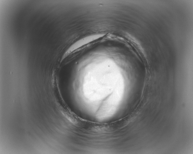 X0000070190065200606091543