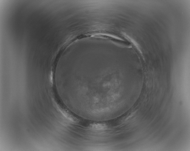 X0000070190067200606091543