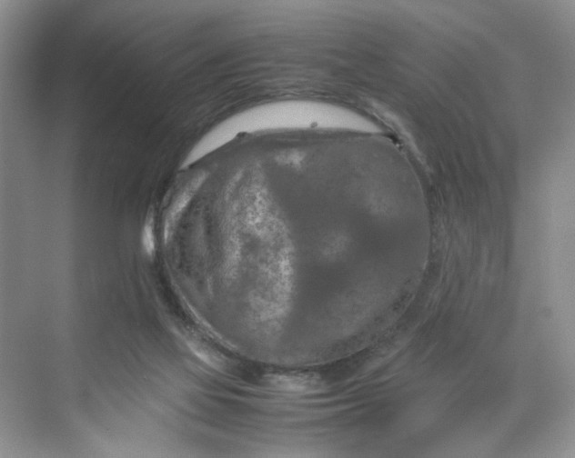 X0000070190069200606091543