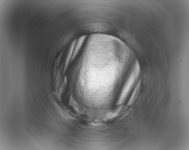 X0000070190070200606091543