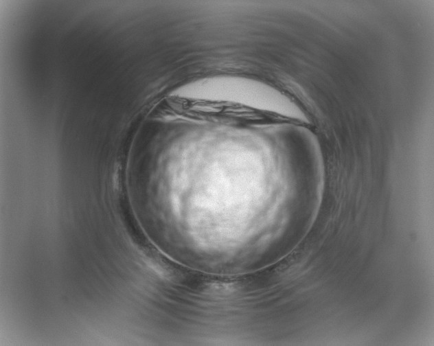 X0000070190071200606091543