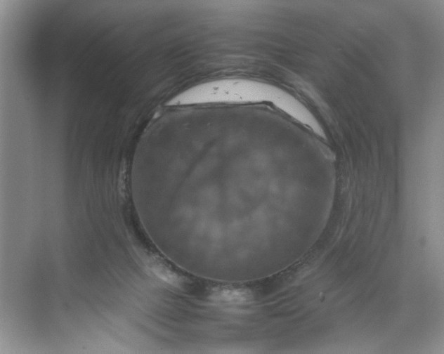 X0000070190073200606091543