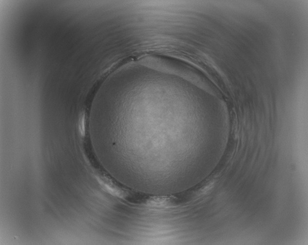 X0000070190076200606091543