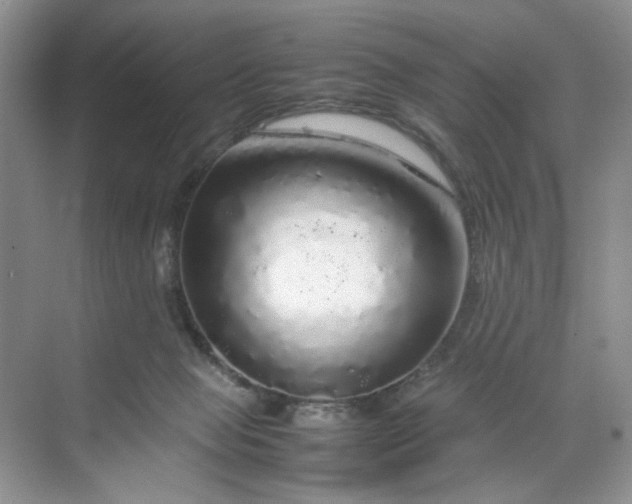 X0000070190077200606091543