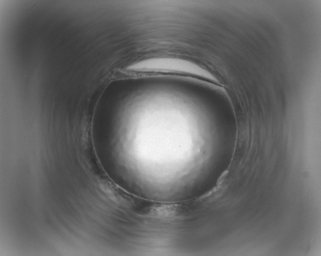 X0000070190078200606091543