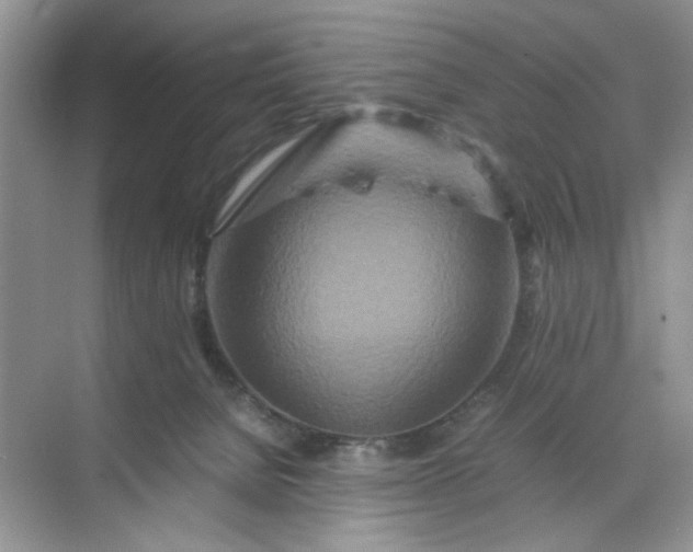 X0000070190080200606091543