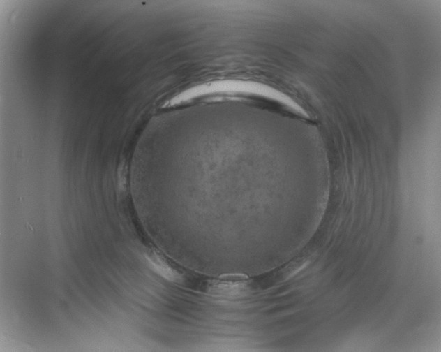 X0000070190081200606091543