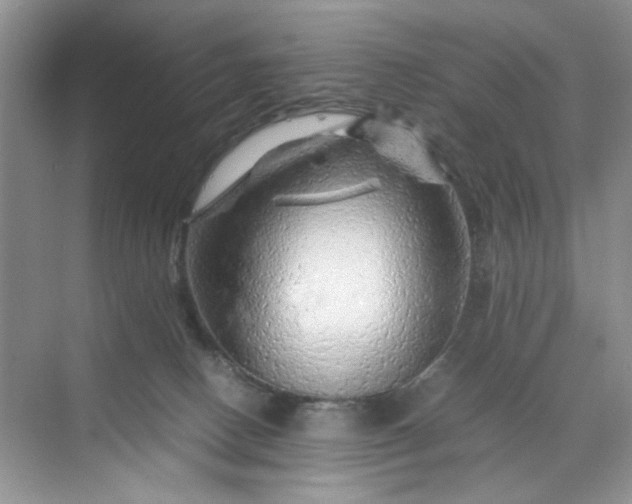 X0000070190082200606091543