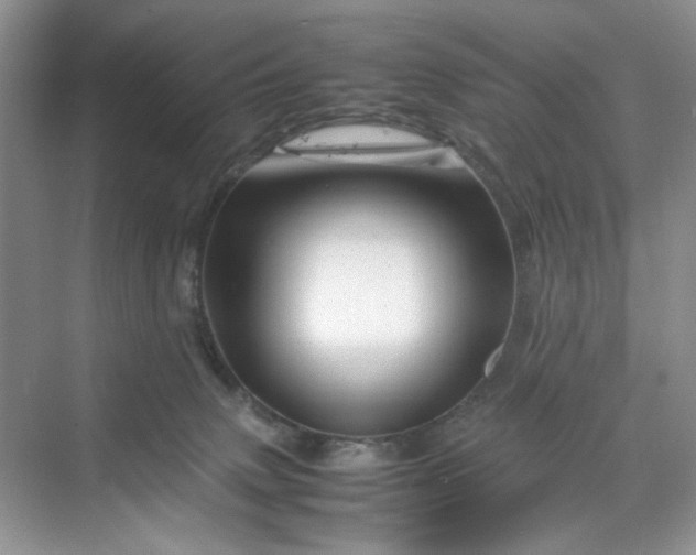 X0000070190083200606091543