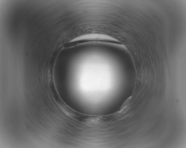 X0000070190086200606091543