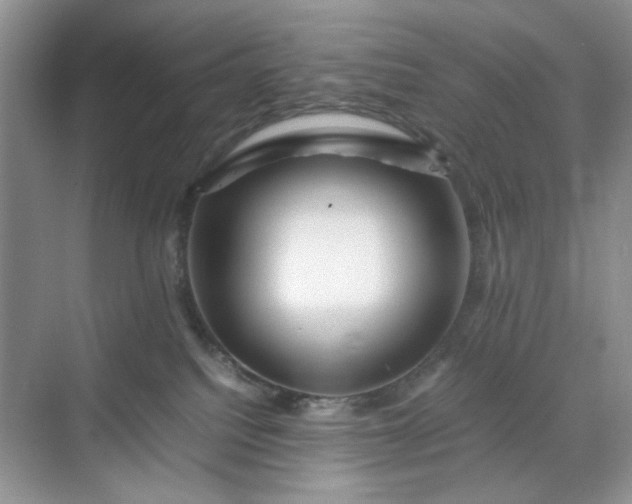 X0000070190088200606091544