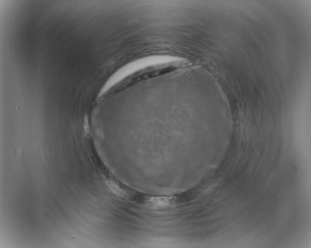 X0000070190089200606091544