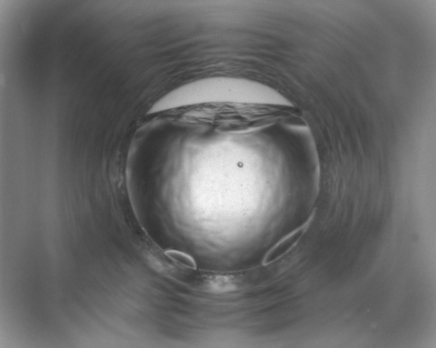 X0000070190091200606091544