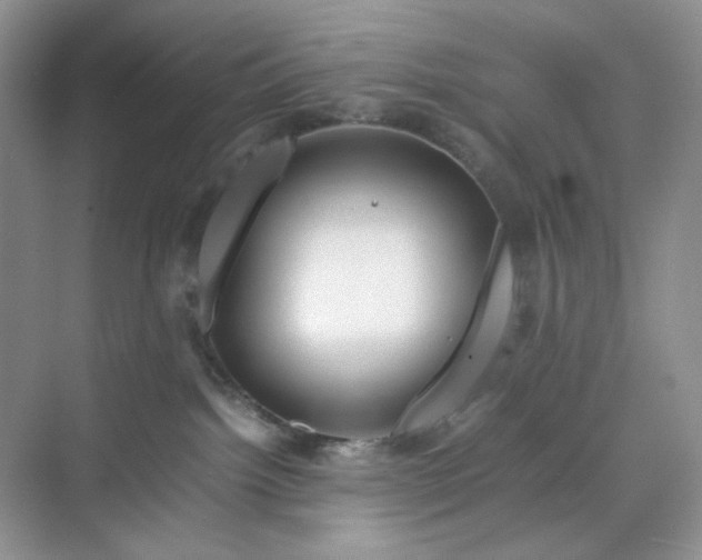 X0000070190092200606091544