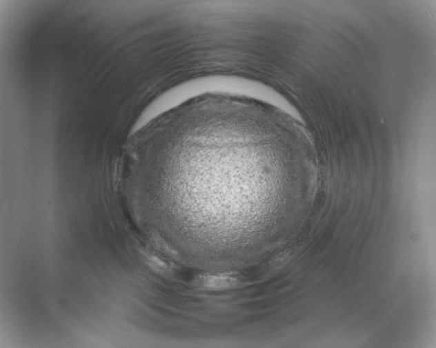 X0000070190093200606091544