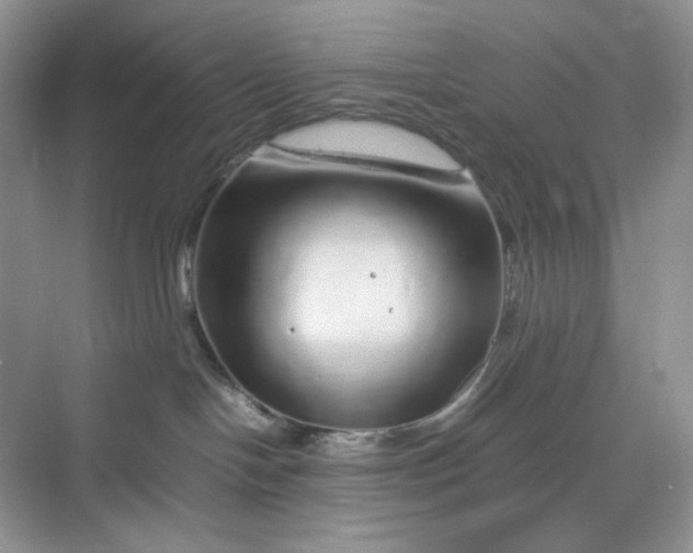 X0000070190094200606091544