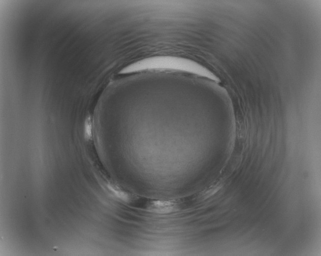 X0000070190095200606091544