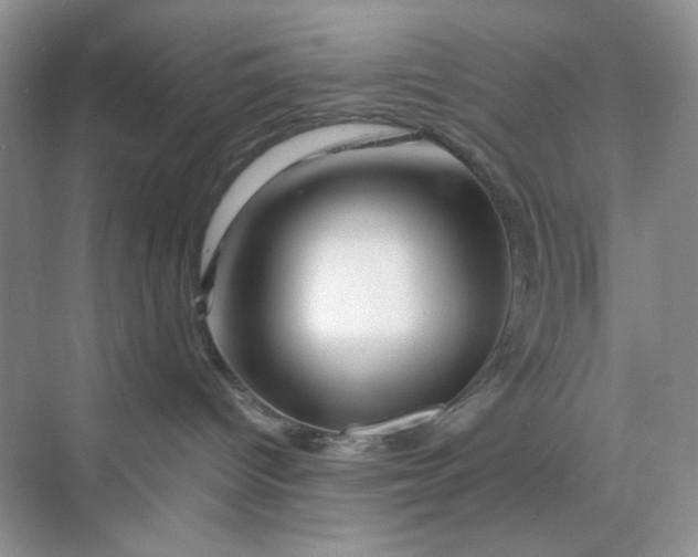 X0000070190096200606091544