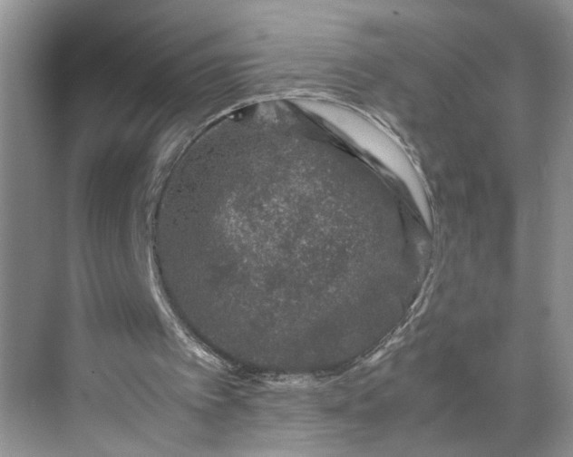 X0000070190097200606091543