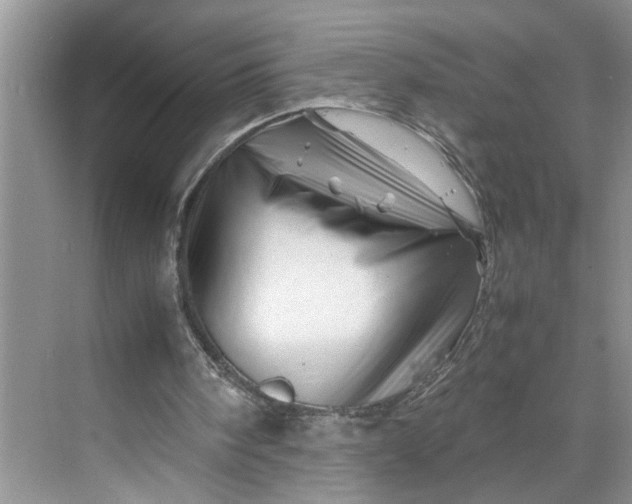 X0000070190098200606091543