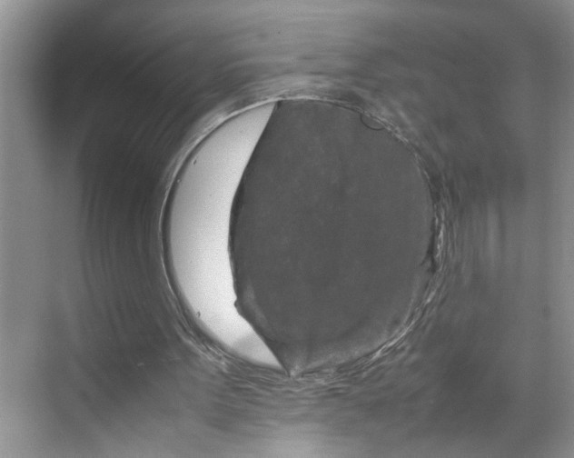 X0000070190099200606091543